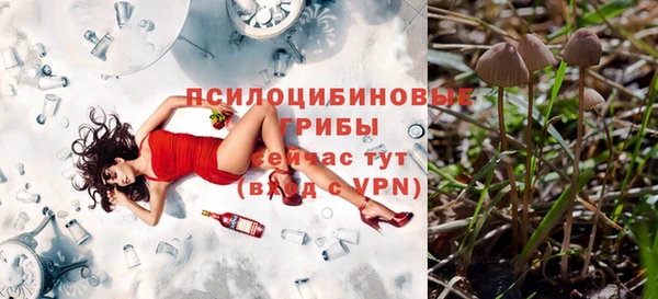 ГАЛЛЮЦИНОГЕННЫЕ ГРИБЫ Балахна